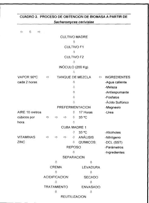 CUADRO 2. PROCESO DE OBTENCION DE BIOMASA A PARTIR DE 