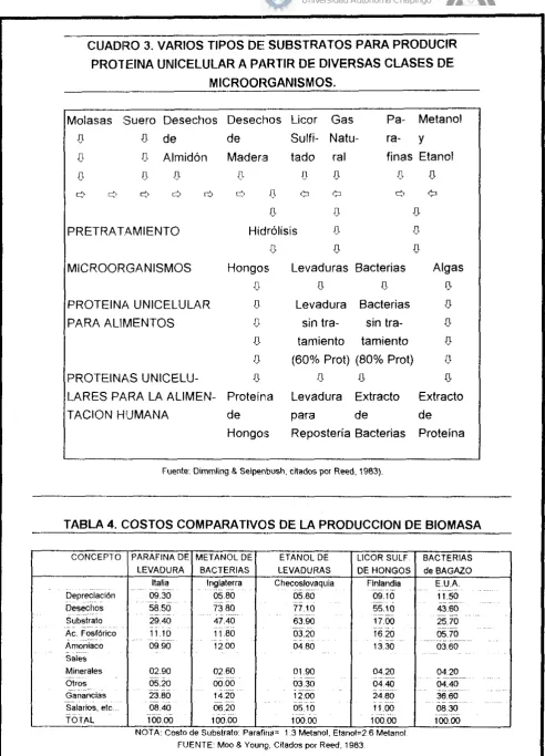 CUADRO 3. VARIOS TIPOS DEI SUBSTRATOS PARA PRODUCIR 