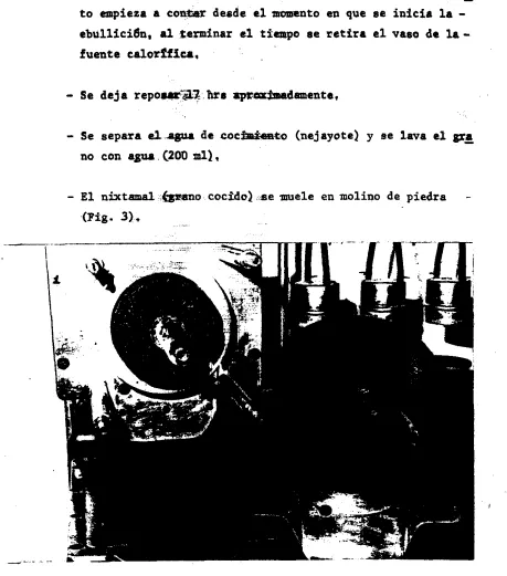 FIGURA 3. MOLINO DE PIEDRA 