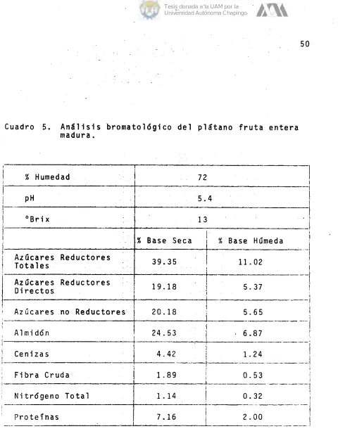 Cuadro 5 .  