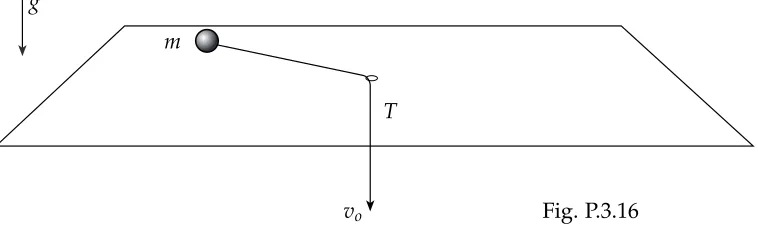 Fig. P.3.16