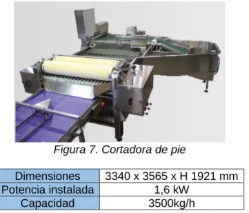 Figura 8. Clasificadora 