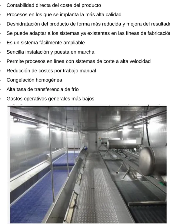 Figura 12. Túnel de congelación 