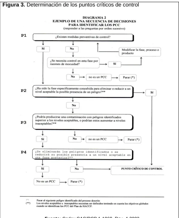Figura 3. Determinación de los puntos críticos de control 