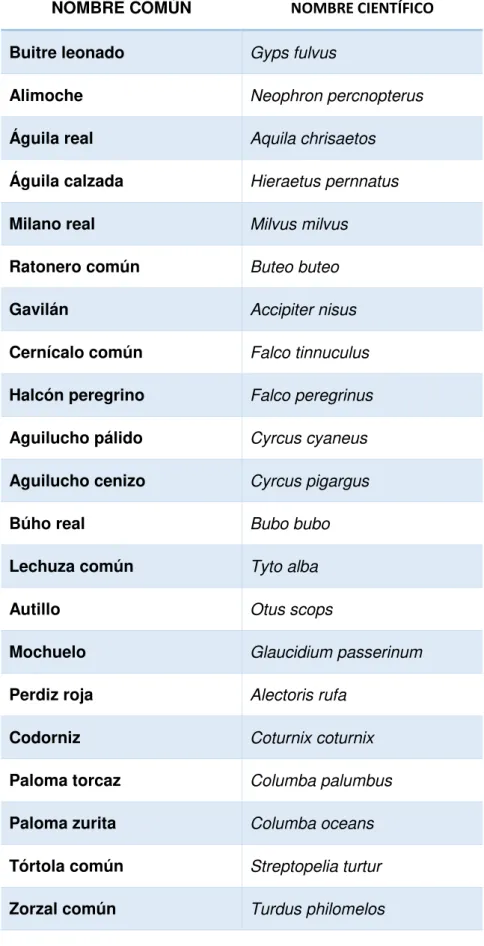Tabla nº 05: Especies de aves presentes en el territorio de estudio. 