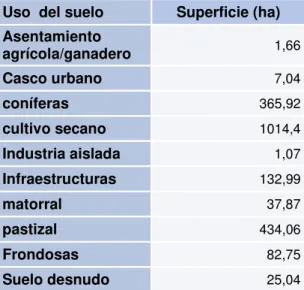 Tabla nº 11: Usos del suelo de la zona acotada (elaboración propia a partir de  los datos de Sigpac JCyL) 