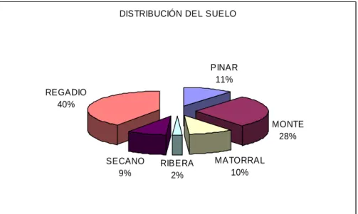 Figura nº 1: Distribución del uso del suelo en el acotado. 