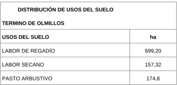 Tabla 2: Utilización de las tierras según uso. 