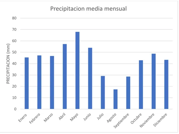 Gráfico nº9: Precipitación media mensual en mm. Fuente de elaboración propia. 