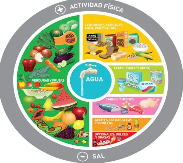 Figura 2: Rueda de los alimentos. 