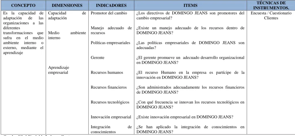 Cuadro Nº  1 Variable Independiente 
