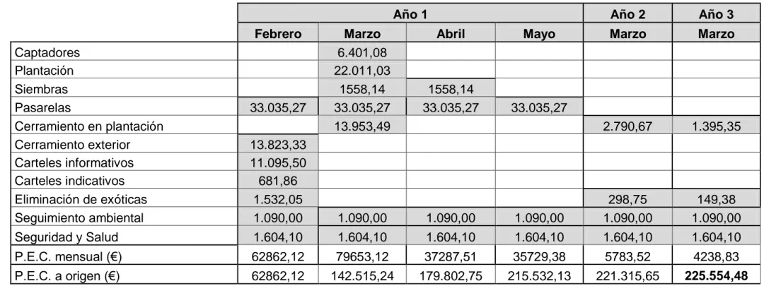 Tabla 3: Cronograma de las actividades que deben llevarse a cabo durante el primer, segundo y tercer año