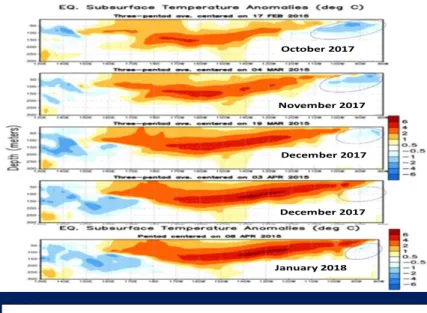 Figure 7 – Shows typical development of the 2015  El  Niño.  The  Equatorial  Tropical  South  Pacific  subsurface  water  warmed  in  the  Central  South  Pacific  and  then  during  the  next  7  weeks  moved  east to the South American coast – beginning