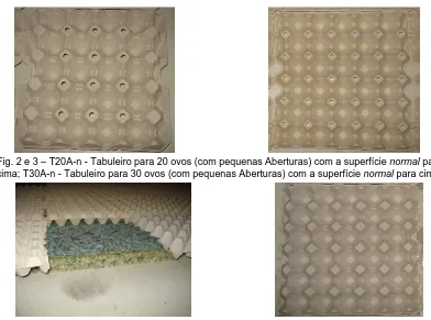 Fig. 2 e 3 – T20A-n - Tabuleiro para 20 ovos (com pequenas Aberturas) com a superfície normalcima; T30A-n - Tabuleiro para 30 ovos (com pequenas Aberturas) com a superfície  para normal para cima