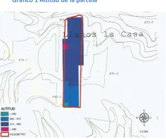 Gráfico 1 Altitud de la parcela 