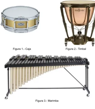 Figura 3.- Marimba 