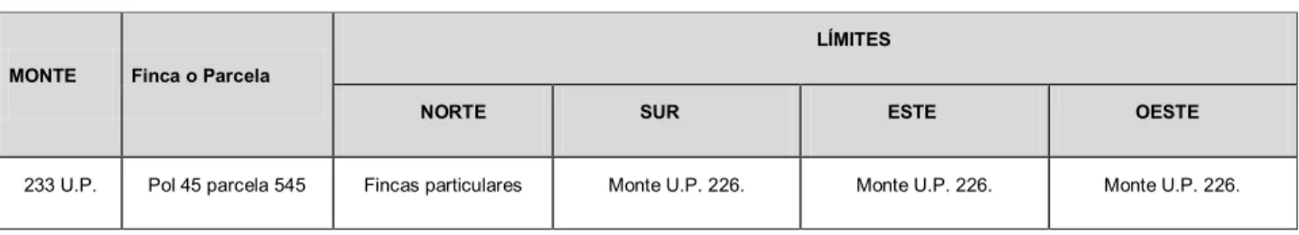Tabla 2. Descripción de los límites 
