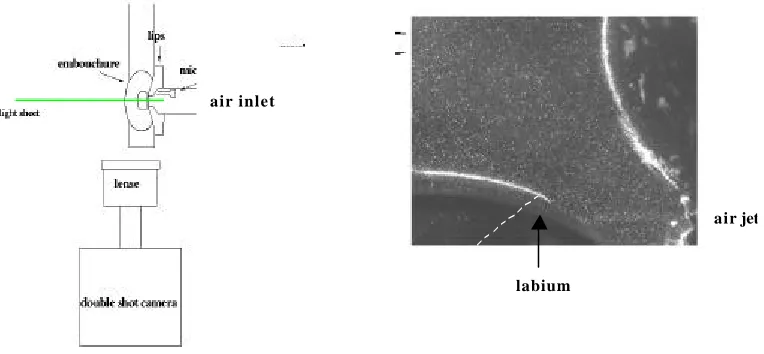 Figure 1: The set up for the experiment (top)      Figure 2: Embouchure and upper lip  