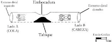Fig. 3. Vista esquemática de una flauta