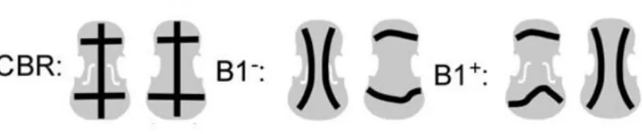Figura 2: Representación de los modos CBR, B1 y B1 (Bissinger, 2008) 