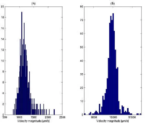 Fig. 3 : Histograms of flow velocity for an acoustic frequency fexc = 2000Hz. (A) : acoustic level equal to 80 dB SPL ; (B) : acoustic level equal to 100 dB SPL 