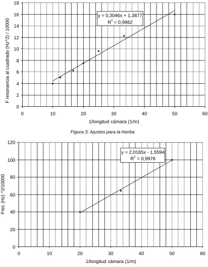 Figura 3: Ajustes para la hierba 