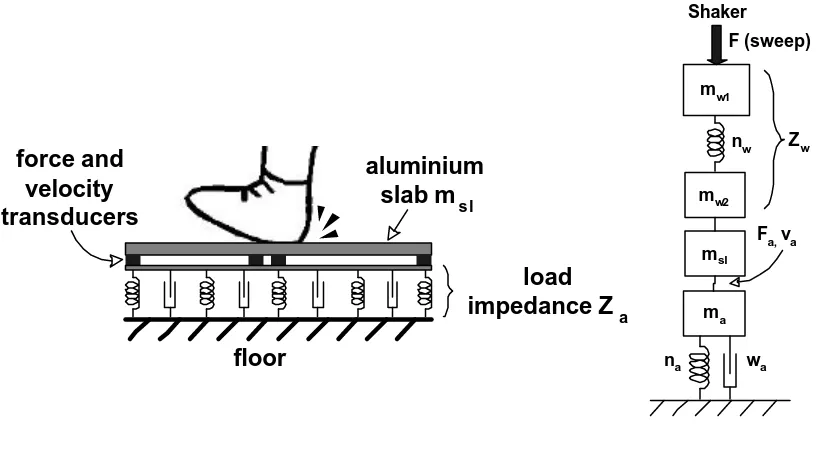 Fig. 6: Real measurement set-up and model 