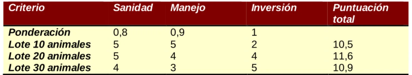 Tabla 2. Análisis multicriterio tamaño de lote. 