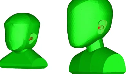 Figure 4 – Average parametric dummy heads for children, left: 6 months (early age for fitting hearing aids), right: kindergarten age, after [23]