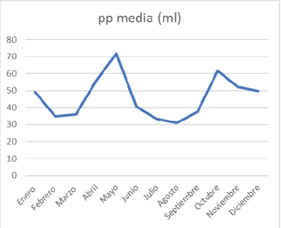 Figura 2 – Precipitaciones medias 