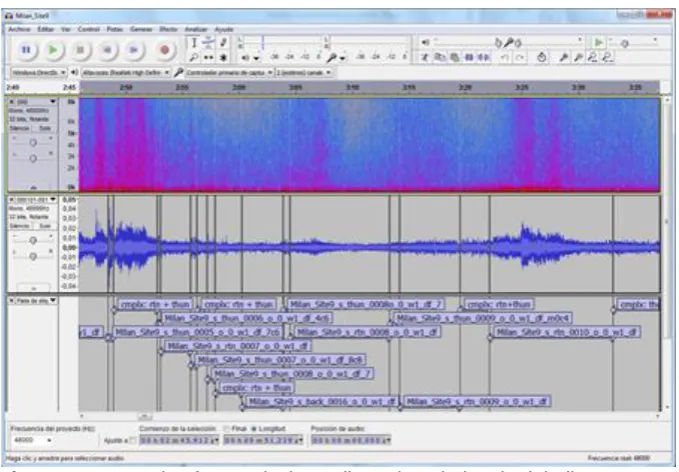 Figure 7 – Example of an Audacity audio project during the labeling process.
