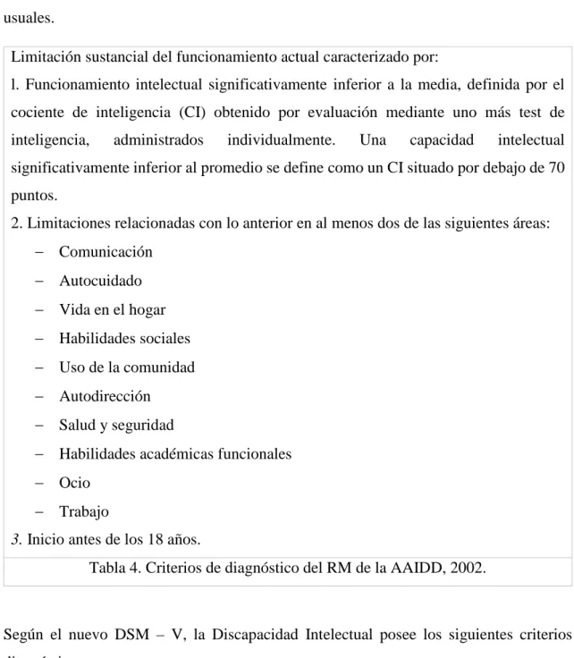 Tabla 4. Criterios de diagnóstico del RM de la AAIDD, 2002. 