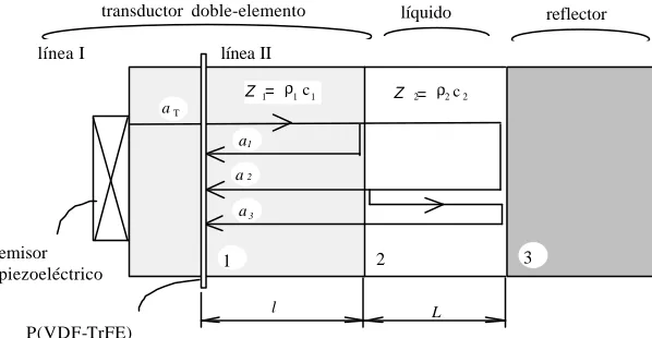 Figura 1 - Célula de medida y transductor doble-elemento.