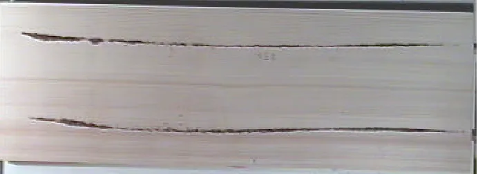 Fig. 1 The Chladni pattern (2,0) of the tested plate R5a on f = 154 Hz  