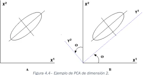 Figura 4.4– Ejemplo de PCA de dimensión 2. 