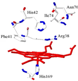 Fig. 4. Residuos que participan en el mecanismo catalítico de la peroxidasa de soja,  próximos al grupo hemo B