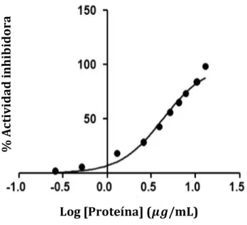 Fig. 3.1. Actividad  anti-proteasa  del  extracto  de  semillas  de  C.  sativa.  La  actividad  anti-proteasa se determinó como la inhibición de la actividad de la proteasa tal y como  se indica en el apartado 6.2.7