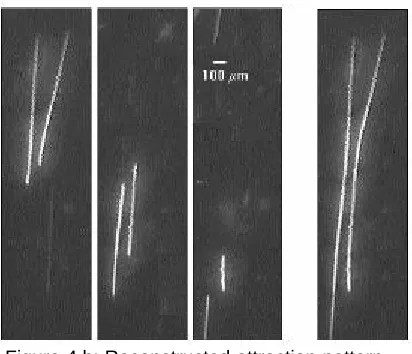 Figure 4.a: Reconstructed attraction  pattern with particle collision for qp=0.35  