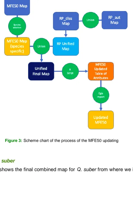 Figure 3: Scheme chart of the process of the MFE50 updating