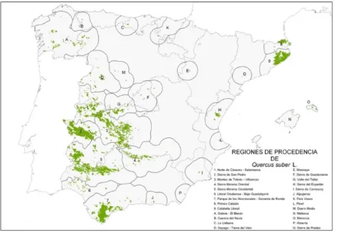 Figure 1: Regions of Provenance of Quercus suber L. in Spain (Alía et al. 2009). 
