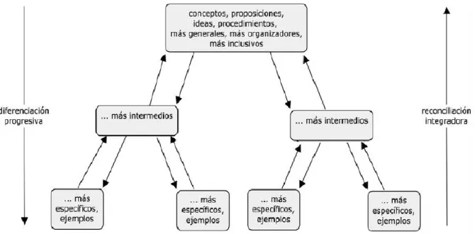 Figura 3. Esquema de los procesos de diferenciación progresiva  reconciliación integradora