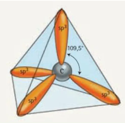 Figura 11. Estructura de un átomo de carbono con hibridación sp 3 . 