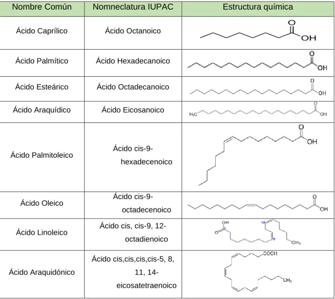 Tabla 5. Nombre común, según la IUPAC y estructura química de varios ácidos grasos. 