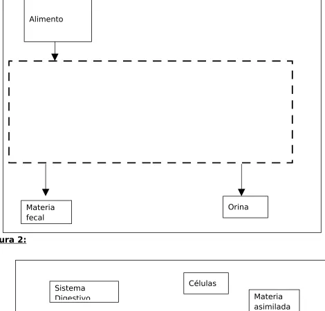 Figura 2: