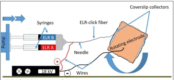 Fig. 1. Schematic set-up of the rotating electrospinning device. 