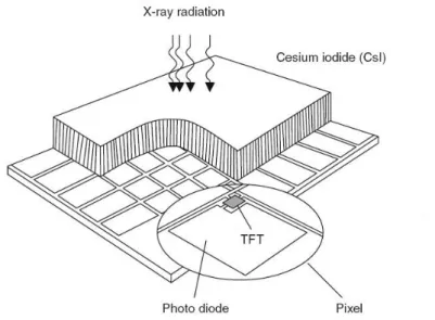 Figura 7 - Detector de panel plano. 