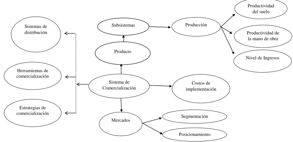 Figura 5 Constelación de ideas de la variable independiente: 