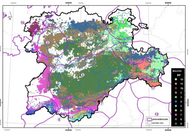 Fig. 5.  Asignación de regiones de procedencia (RP) con mayor probabilidad en distribución actual y potencial de Pinus pinaster RP 