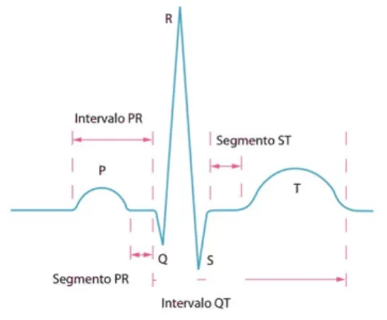 Figura 5. Ondas del electrocardiograma 36