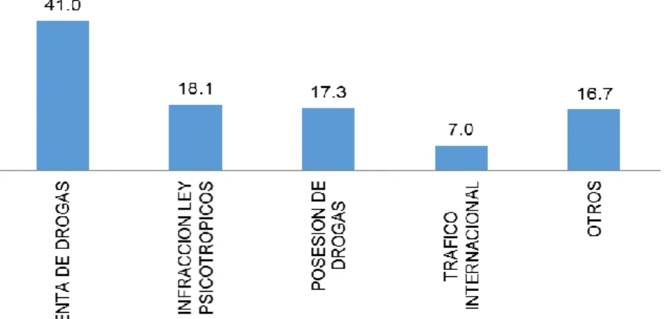 Gráfico 11 